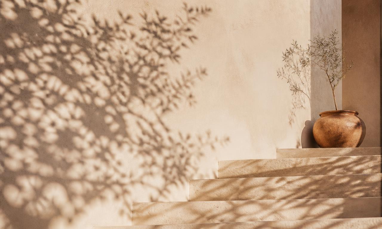Warm light and botanical shadows across quiet architectural steps